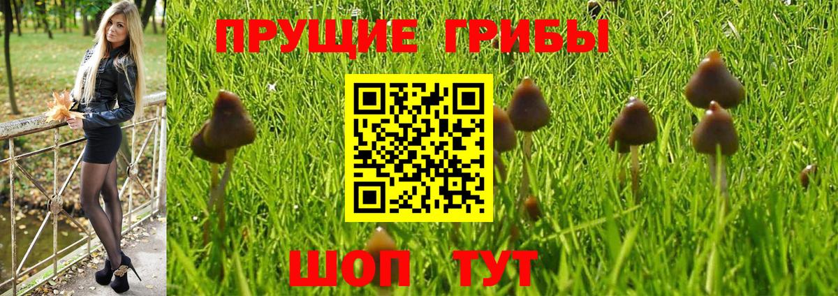 Ипатово  Псилоцибиновые грибы ЛСД  Псилоцибиновые грибы мицелий  Вход с VPN 